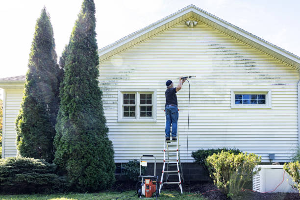 Best Solar Panel Cleaning  in Mount Hope, NJ